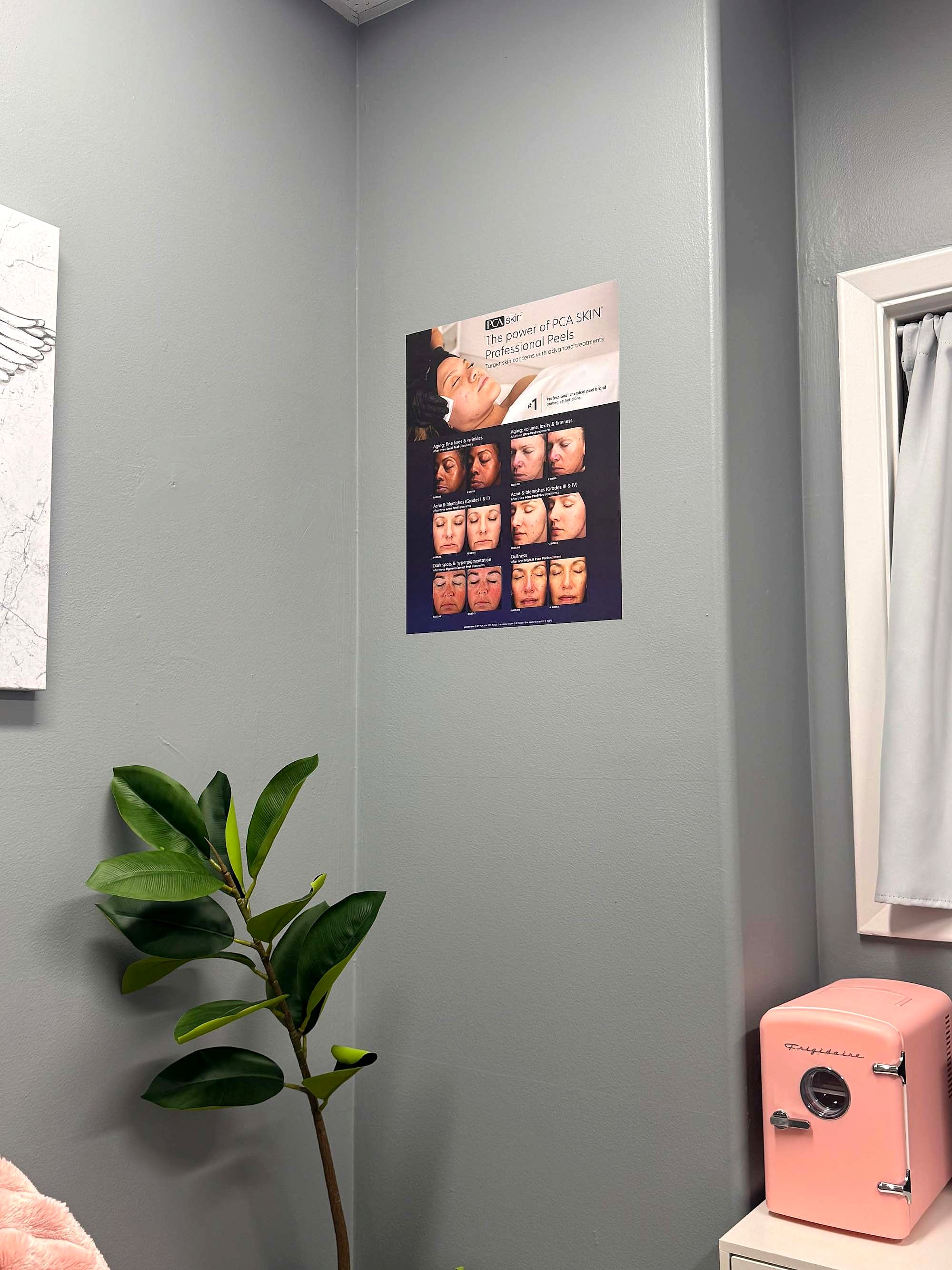 A plant, a skincare poster and a blush mini fridge in a corner of the suite